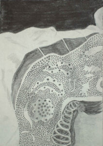 09 z.t potlood op papier 17,5x12,5cm