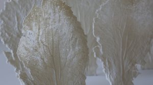 W_Corinne Vorwerk-Smaal artwork -