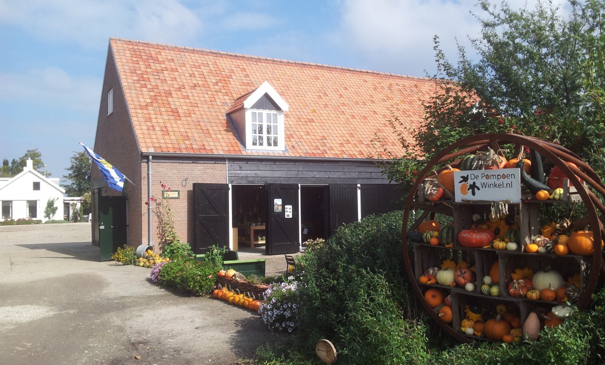 De Komma Van Kortgene 24: De Pompoenwinkel – Kunstpoor